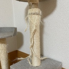 キャットタワーの画像