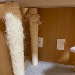 キャットタワーの画像