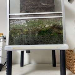 水槽（爬虫類、両生類、昆虫など）の画像