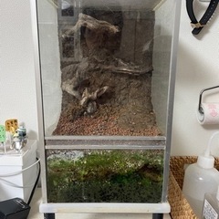 水槽（爬虫類、両生類、昆虫など）