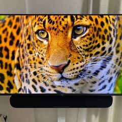 Hisense ハイセンス2022年製 50v型 4K液晶テレビ 50E6G