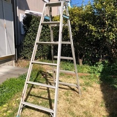 脚立　6段　はしご