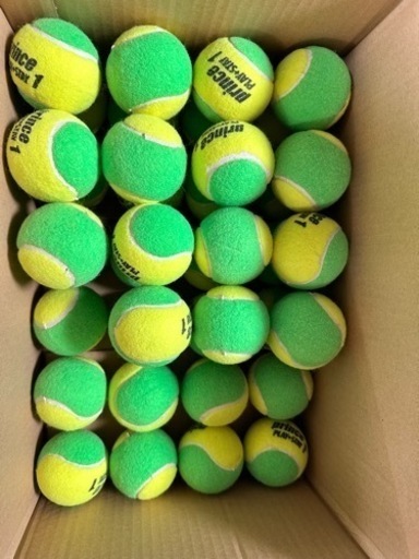 スポーツ テニス