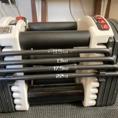 可変式ダンベル3kg〜22kg 2個セットの画像