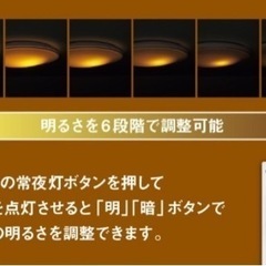 【受け取り先決まりました】専用商品　LEDシーリングライトの画像