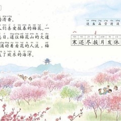 中国語授業の画像