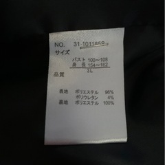 レディース 大きめ セレモニースーツの画像