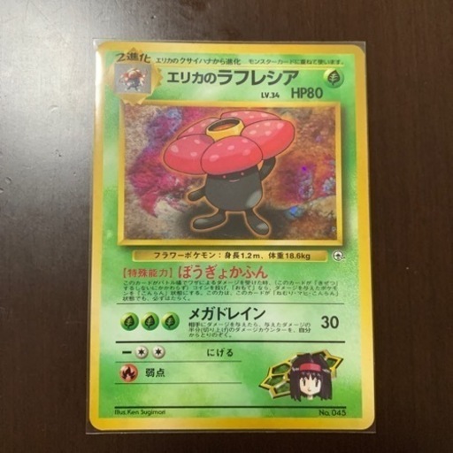 旧裏　エリカのラフレシア