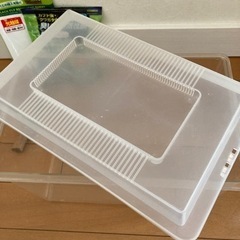 コバエ防止飼育ケース　飼育容器　カブトムシ　クワガタの画像
