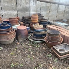 家庭用品 ガーデニング 植木鉢 盆栽用の画像