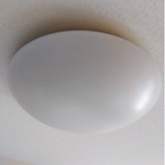 シーリングライト大光電機　DCL30711N