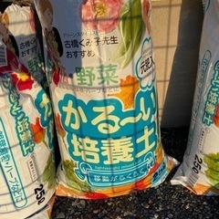 カインズ購入　かるーい培養土　1-2回使用しました