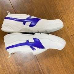【王子小学校】指定上履き　18.0センチの画像