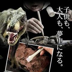恐竜化石発掘チョコレート✨製造日本、ベルギーの画像