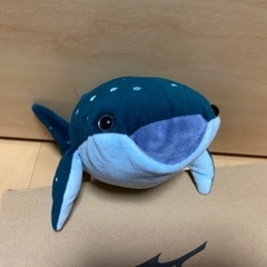 ぬいぐるみ　ジンベイザメの画像