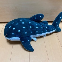 ぬいぐるみ　ジンベイザメ