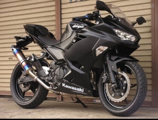 ★NINJA250 EX250P★BMSマフラー！ABSモデル！走行少ない！ニンジャ250、Ninja250