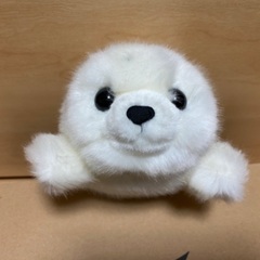 ぬいぐるみ　あざらし