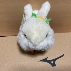 ぬいぐるみ　うさぎ