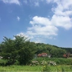 空き家