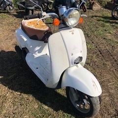 ホンダ　ジョルノクレア　書類付レストアベース車