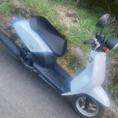 TODAY  AF61  白の画像