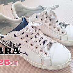 ZARA スニーカー 25㎝