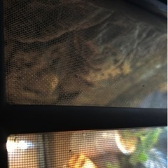 ジェックス グラステラリウム3045 PT2602の画像