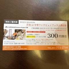 シャトレーゼ　ガトーキングダム札幌　プール&温泉／ランチ割引券の画像