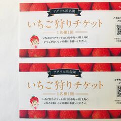 アグリス浜名湖 いちご狩りチケット 2枚