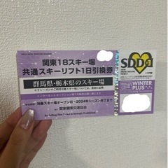 関東18スキー場　共通リフト1日券