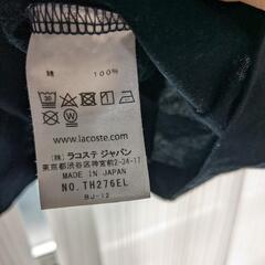 ラコステ　ロングTシャツ　サイズ4の画像