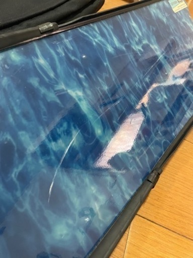 リーダーフィン
