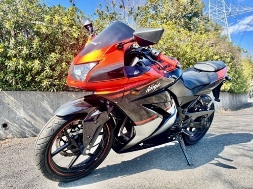 ニンジャ250r スペシャルエディション　美車検