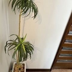 人工観葉植物　フェイク　