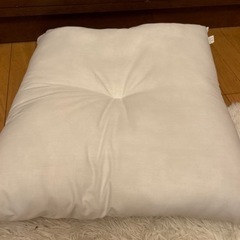 新品、座布団、2つ、カバー無しの画像