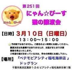 3月10日(日)🌸にゃん☆ぴーす猫の譲渡会🌸「ペテモピアシティ稲...