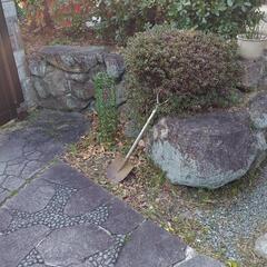 庭石差し上げます‼️の画像