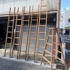 檜梯子6脚 ヒノキハシゴ DIY 桧 木材 端材