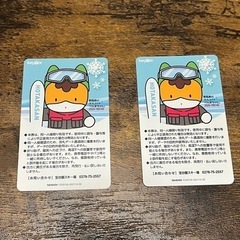 ほうだいぎスキー場 大人1日リフト券2枚