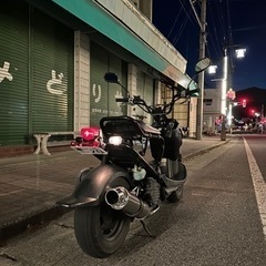 ズーマーAF58 今週限定価格！！の画像