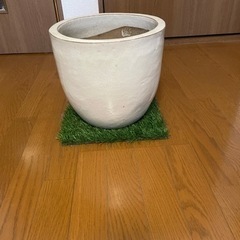【受け渡し予定】観葉植物の鉢　　陶器