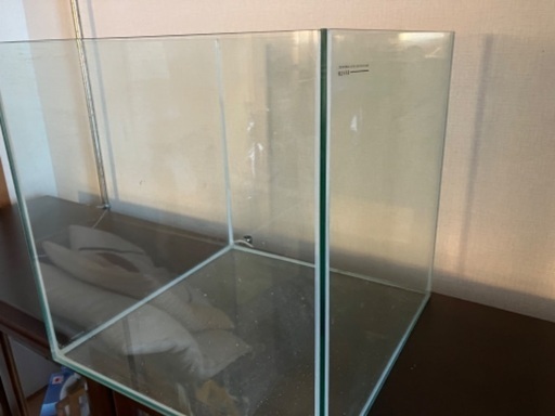 水槽　熱帯魚　海水魚