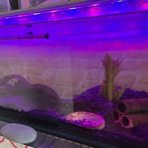 再掲載 フルガラス水槽90