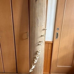 琴