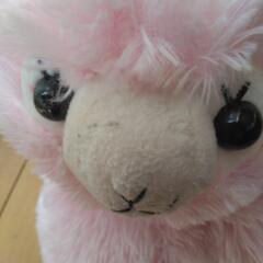 アルパカショルダーばっく訳ありの画像