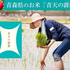 青天の霹靂　令和5年度産（3合）　真空キューブパック　20入り