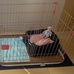 スライドサークル　ペット　犬　
