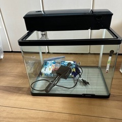 コトブキ  45cm 水槽