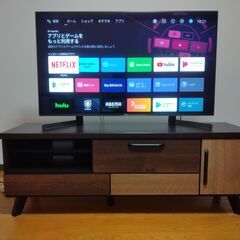 ソニー４K液晶最高仕様モデル（19年製、49インチ）